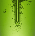 Super Cica Ampoule